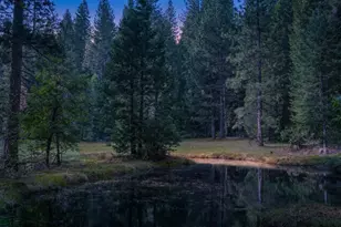 14138 La Porte Rd, Strawberry Valley, CA 95981 - Photo 46