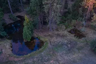14138 La Porte Rd, Strawberry Valley, CA 95981 - Photo 48