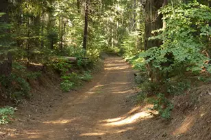 14138 La Porte Rd, Strawberry Valley, CA 95981 - Photo 58