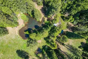 14138 La Porte Rd, Strawberry Valley, CA 95981 - Photo 52