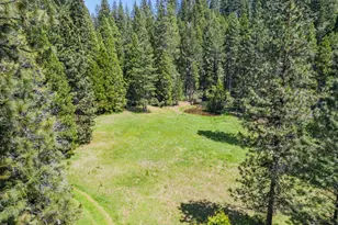 14138 La Porte Rd, Strawberry Valley, CA 95981 - Photo 10