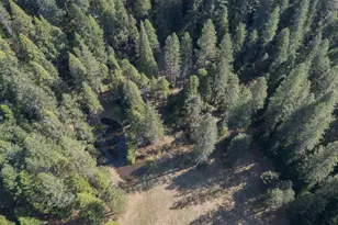 14138 La Porte Rd, Strawberry Valley, CA 95981 - Photo 62
