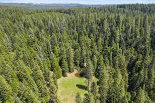 14138 La Porte Rd, Strawberry Valley, CA 95981 - Photo 54
