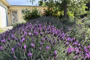 938 Snyder, Davis, CA 95616 - Photo 32