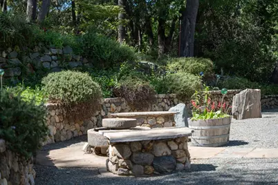 1408 Kenney Drive, Murphys, CA 95247 - Photo 62