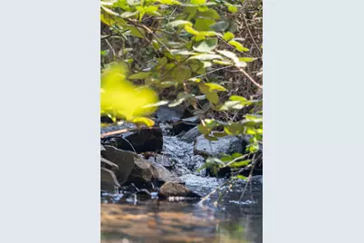 225 Greenbush Road, Oroville, CA 95966 - Photo 28