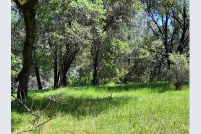 9568 Sheep Ranch Road, Mountain Ranch, CA 95246 - Photo 26