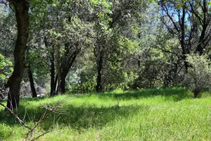 9568 Sheep Ranch Rd, Mountain Ranch, CA 95246 - Photo 26