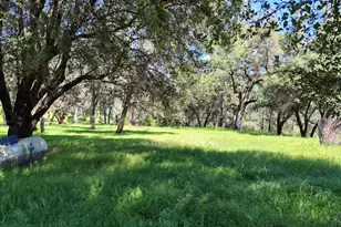 9568 Sheep Ranch Rd, Mountain Ranch, CA 95246 - Photo 30