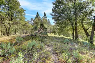 18955 Lake City Rd, Nevada City, CA 95959 - Photo 90