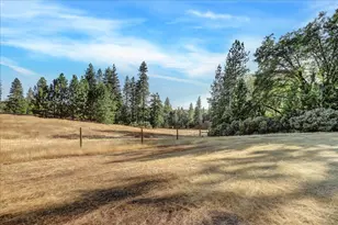 18955 Lake City Rd, Nevada City, CA 95959 - Photo 74