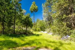 7220 Grizzly Flat Rd, Somerset, CA 95684 - Photo 18