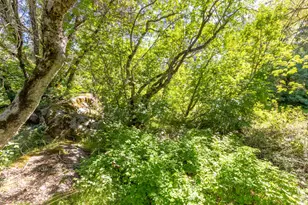 7220 Grizzly Flat Rd, Somerset, CA 95684 - Photo 16