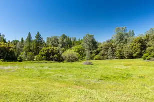 7220 Grizzly Flat Rd, Somerset, CA 95684 - Photo 12