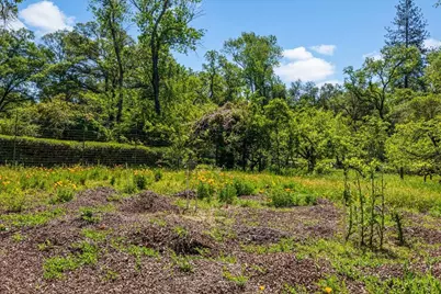 4539 Rattlesnake Bar Road, Pilot Hill, CA 95664 - Photo 36