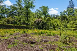 4539 Rattlesnake Bar Rd, Pilot Hill, CA 95664 - Photo 36