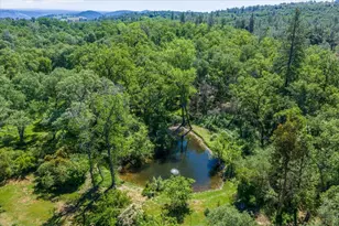 4539 Rattlesnake Bar Rd, Pilot Hill, CA 95664 - Photo 48