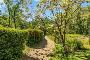 4539 Rattlesnake Bar Rd, Pilot Hill, CA 95664 - Photo 28