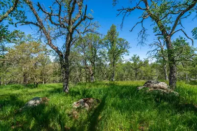 9185 Ridge Road, Newcastle, CA 95658 - Photo 24