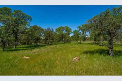 9185 Ridge Road, Newcastle, CA 95658 - Photo 30