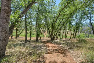 19539 Mountain Lion Road, Grass Valley, CA 95945 - Photo 74