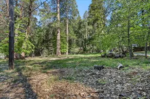 12501 Valley View Rd, Nevada City, CA 95959 - Photo 30