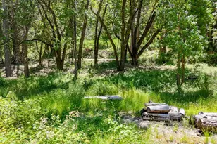 12666 Robinson Rd, Nevada City, CA 95959 - Photo 54