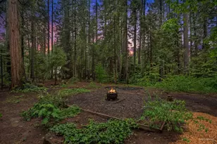 34180 Cable Rd, Alta, CA 95701 - Photo 50