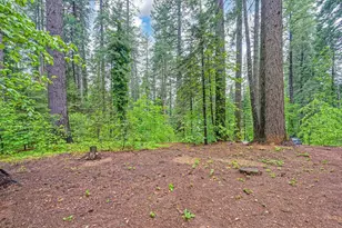 34180 Cable Rd, Alta, CA 95701 - Photo 56