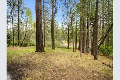 5123 Rainbow Trail, Pollock Pines, CA 95726 - Photo 24