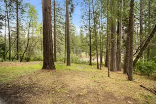 5123 Rainbow Trail, Pollock Pines, CA 95726 - Photo 24