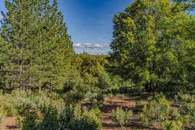 211 Fox Road, Glencoe, CA 95232 - Photo 84