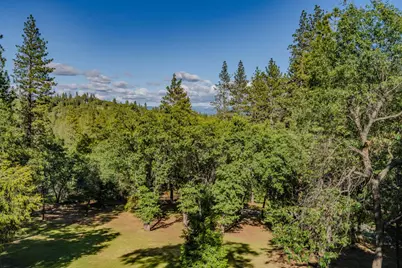 211 Fox Road, Glencoe, CA 95232 - Photo 88