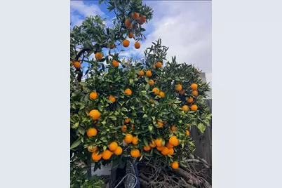 3704 Gratia Avenue, Sacramento, CA 95821 - Photo 60