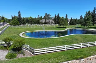 10872 Sheldon Woods Way, Elk Grove, CA 95624 - Photo 74