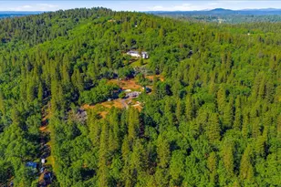 10784 Cole Way, Grass Valley, CA 95945 - Photo 56