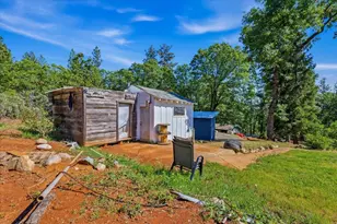 10784 Cole Way, Grass Valley, CA 95945 - Photo 46