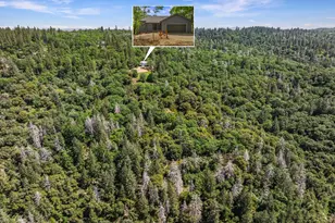 2240 Slate Ct, Greenwood, CA 95635 - Photo 56