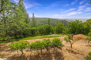 2240 Slate Ct, Greenwood, CA 95635 - Photo 40