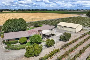 52929 Co Rd 141, Clarksburg, CA 95612 - Photo 54