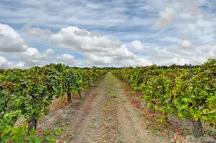 52929 Co Rd 141, Clarksburg, CA 95612 - Photo 42