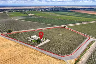 52929 Co Rd 141, Clarksburg, CA 95612 - Photo 4