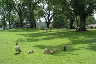 19009 Swallow Way, Penn Valley, CA 95946 - Photo 58