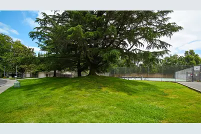 1215 Spruce Tree Circle, Sacramento, CA 95831 - Photo 30