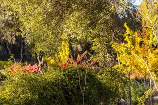 14446 Perimeter Rd, Grass Valley, CA 95949 - Photo 22