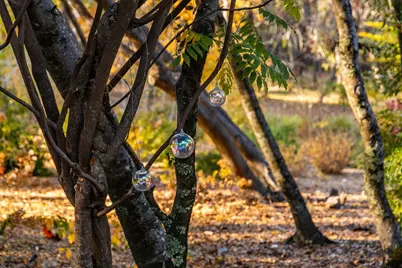 14446 Perimeter Road, Grass Valley, CA 95949 - Photo 66