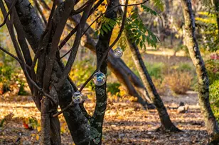 14446 Perimeter Rd, Grass Valley, CA 95949 - Photo 66