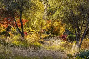 14446 Perimeter Rd, Grass Valley, CA 95949 - Photo 24