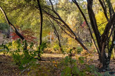 14446 Perimeter Road, Grass Valley, CA 95949 - Photo 34