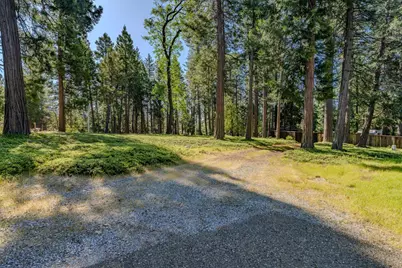 27460 State Highway 88, Pioneer, CA 95666 - Photo 12